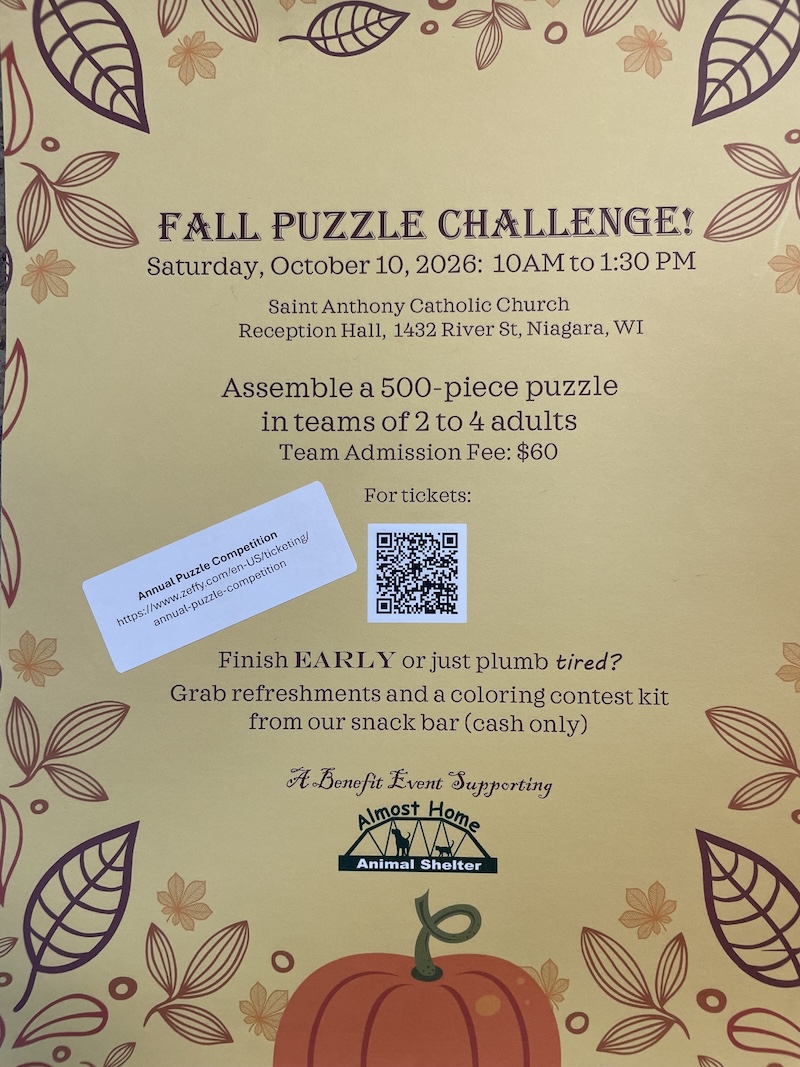 Puzzle Challenge